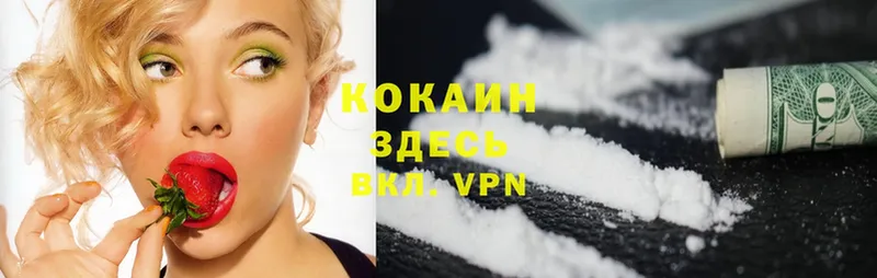 Cocaine FishScale  купить наркотики сайты  Черняховск 